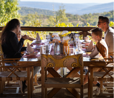 Safari – Fynbos – Winelands