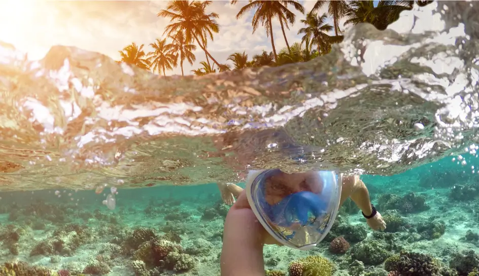 Scuba diving under the water 