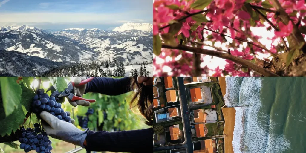 Collage of seasonal and regional landscapes: snow-covered mountains, blooming pink flowers on a tree, grapes being harvested in a vineyard, and an aerial view of a coastal town with waves crashing along the shore.